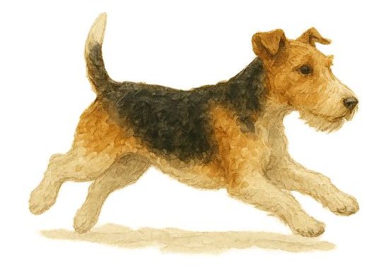 pelagem ressecada img e1762977611872